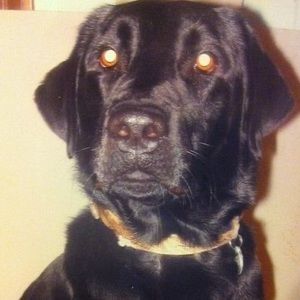 Meet your Posher, Gunner